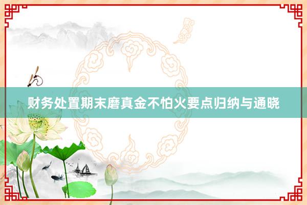 财务处置期末磨真金不怕火要点归纳与通晓